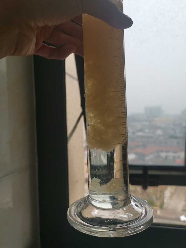 現(xiàn)場(chǎng)照片