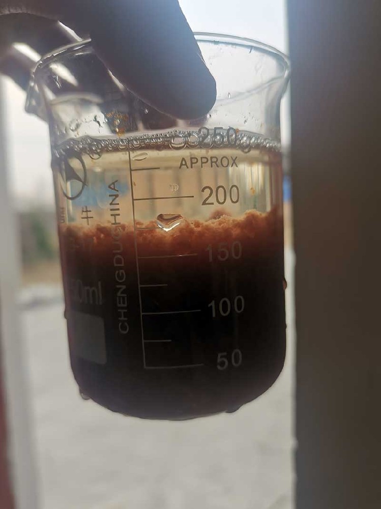 現(xiàn)場(chǎng)照片