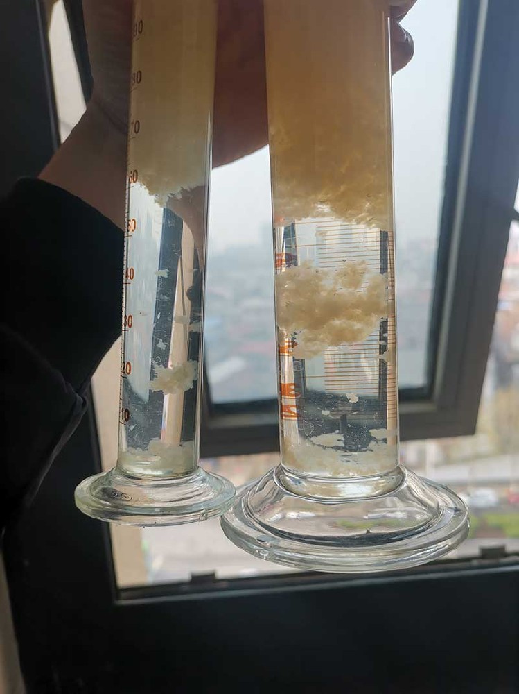 現(xiàn)場(chǎng)照片